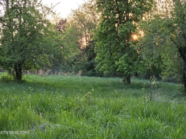 tbd LOT 1 Boatmans Mountain Road, Morristown, TN 37814