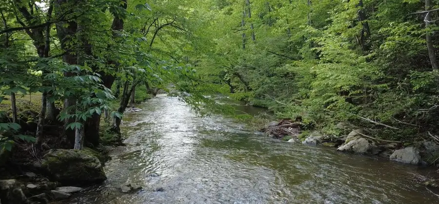 4124 Big Creek Road Road, Hartford, TN 37753 - Image #2