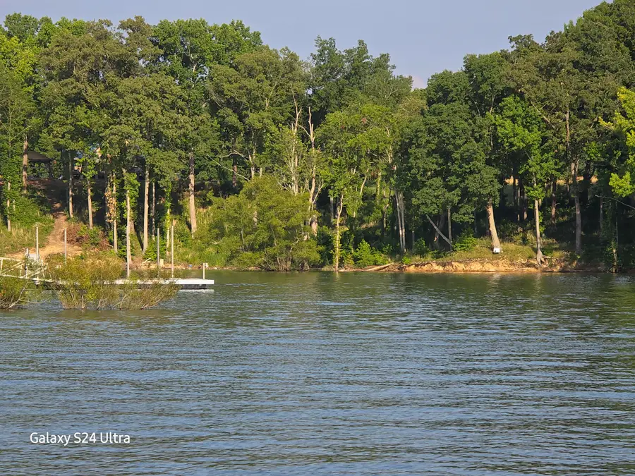 Lot 41 English Mountain Point, Baneberry, TN 37890 - Image #2