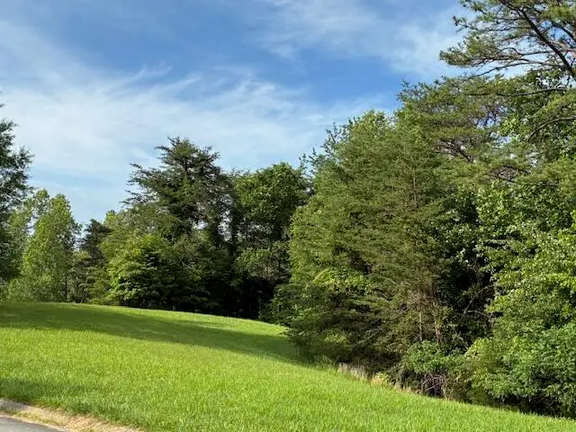 Lot 17 Waterstone Drive, Dandridge, TN 37725 - Image #3