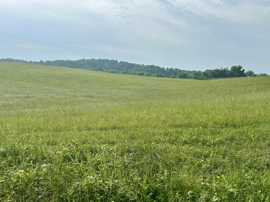 Lot 4 Bluff Rd, Parrottsville, TN 37843 - Image #2