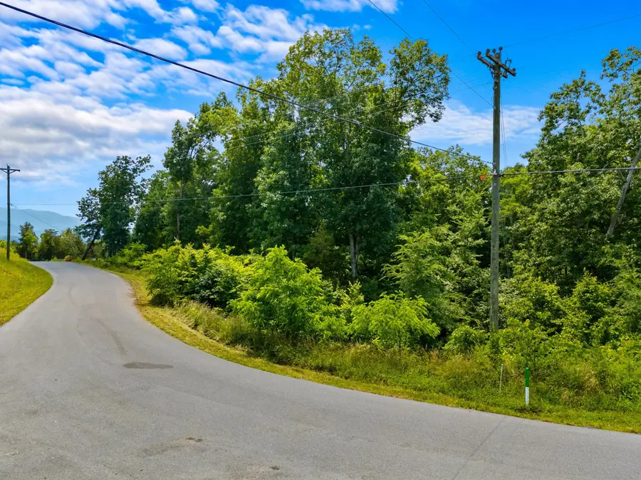 Lot 79 Harbor Ridge Ln, Dandridge, TN 37725 - Image #2