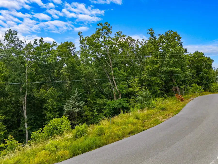 Lot 79 Harbor Ridge Ln, Dandridge, TN 37725 - Image #3