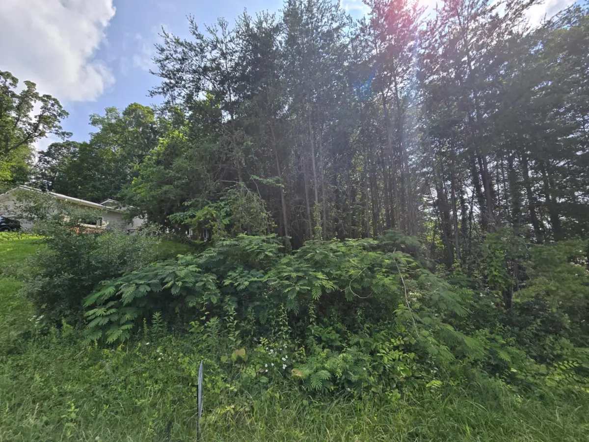 1466 Dandelion Circle, Morristown, TN 37814 - Image #1