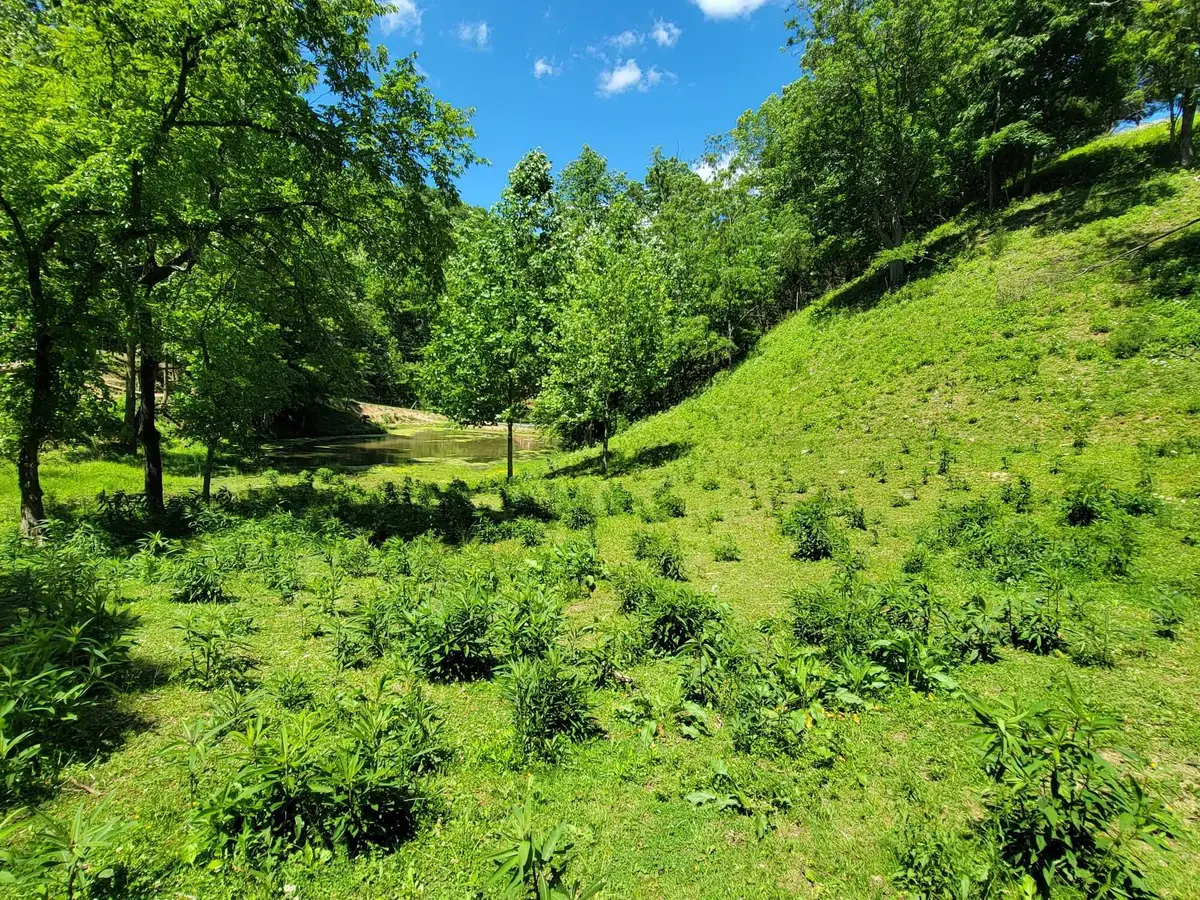 Tract 7 Sandy Valley Road, Rogersville, TN 37857 - Image #1