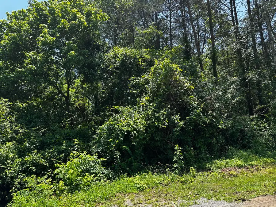 1995 Bluebird Circle, Morristown, TN 37814 - Image #3