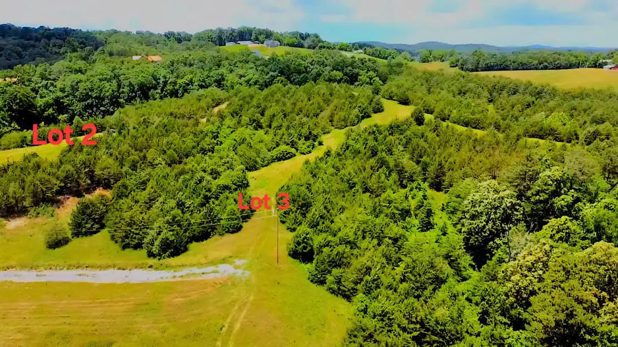 1420 Swannsylvania Road, Dandridge, TN 37725 - Image #3