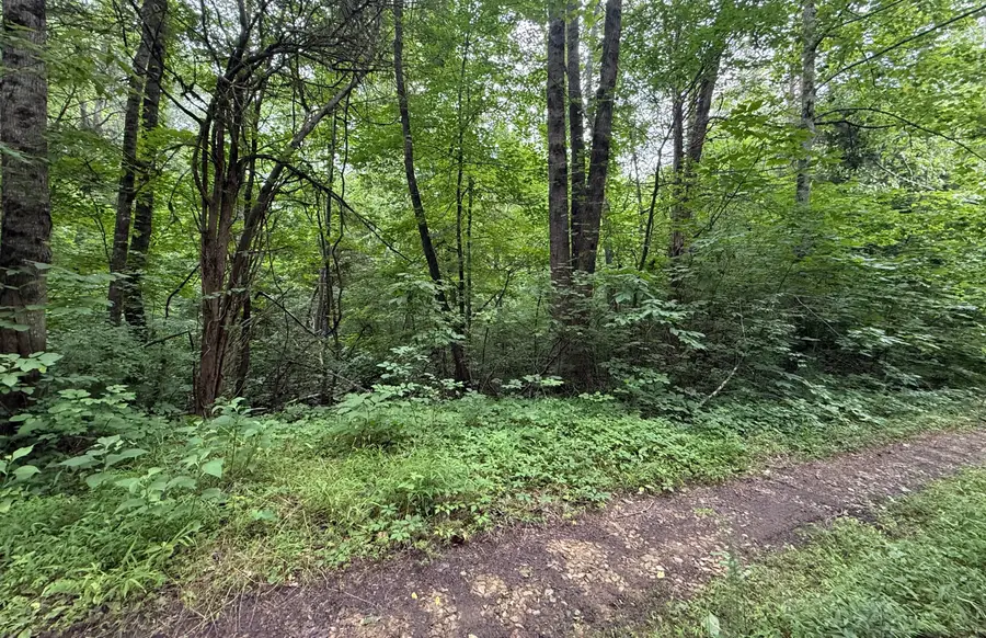 5 Lots Fortunato Drive, Baneberry, TN 37890 - Image #3