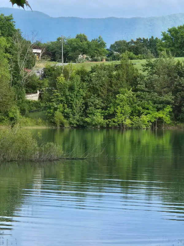 0 Muddy Creek Road, Dandridge, TN 37725