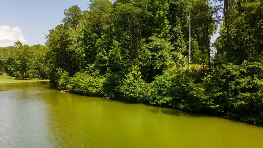 811 Harrison Ferry Rd, White Pine, TN 37890 - Image #3