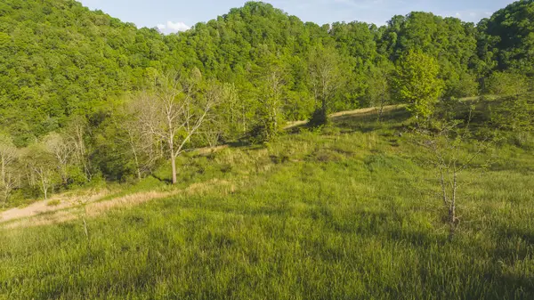 Lots 9 Big Springs Road, Eidson, TN 37731