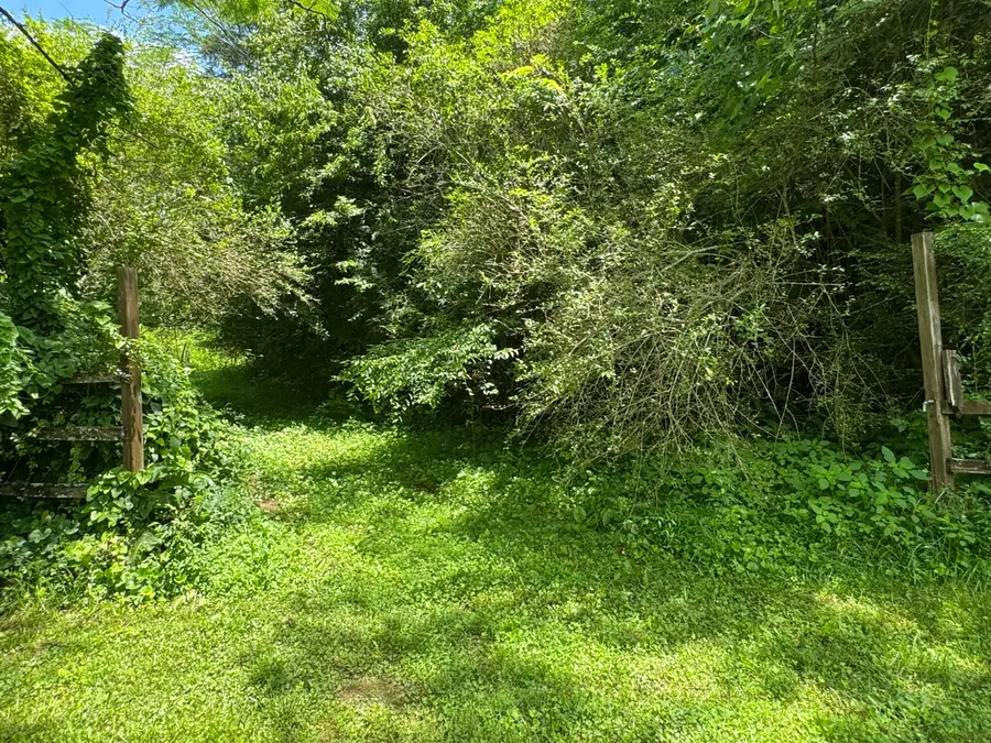 0 Bogard Road, Cosby, TN 37722 - Image #3