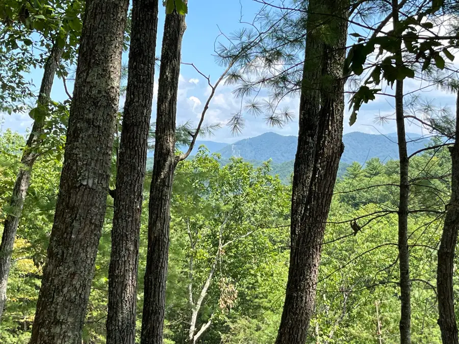 00 E 25-70, Del Rio, TN 37727 - Image #2