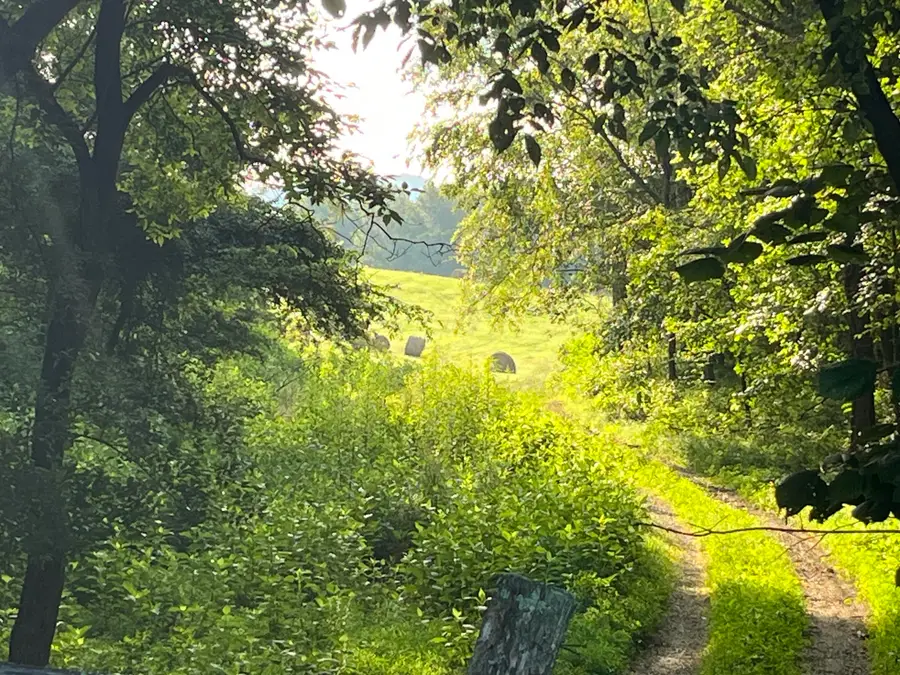 378-F Rocky Top Road, Newport, TN 37821 - Image #2