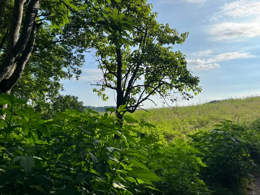 378-F Rocky Top Road, Newport, TN 37821 - Image #3