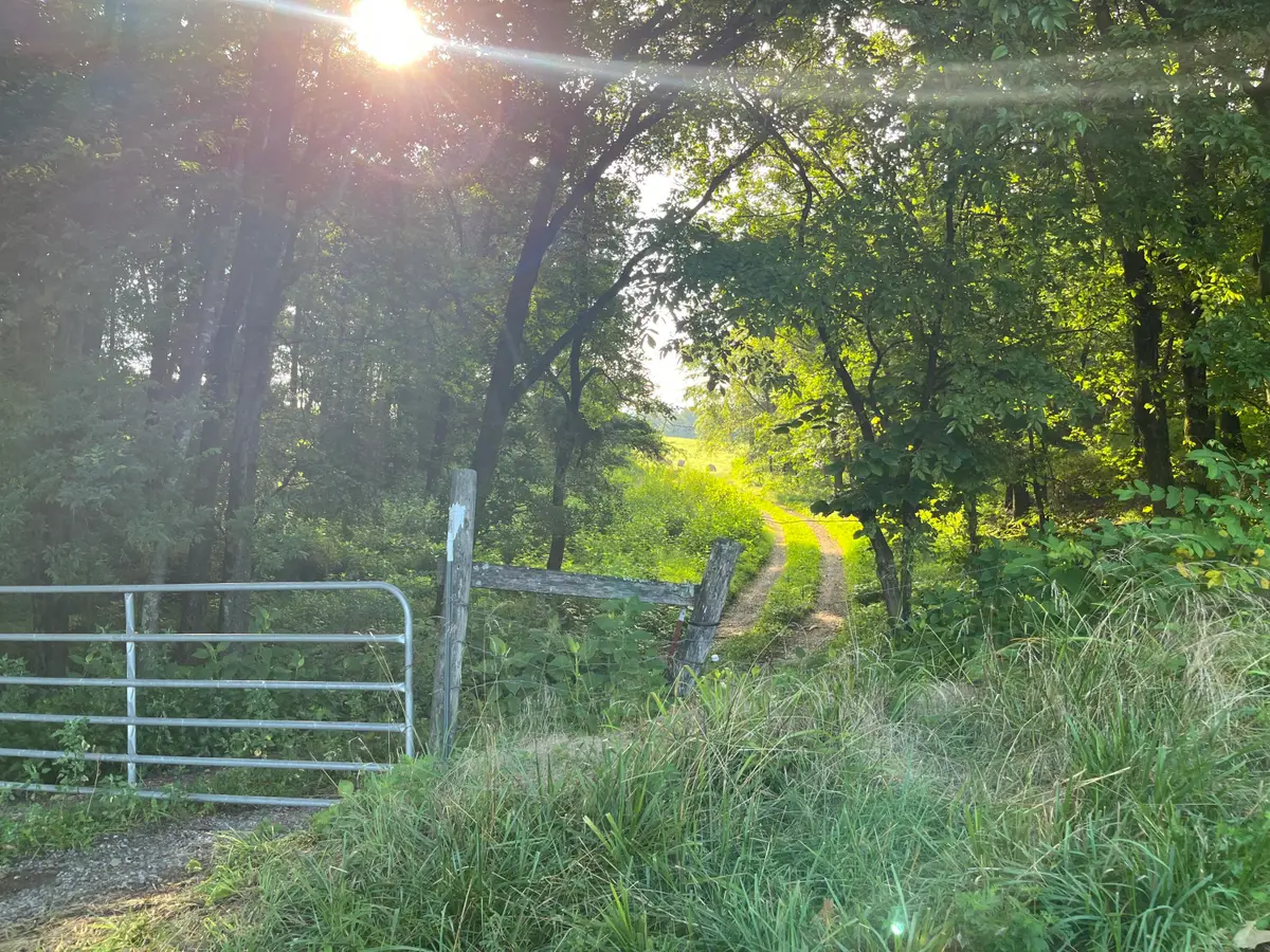 378-G Rocky Top Road, Newport, TN 37821 - Image #1