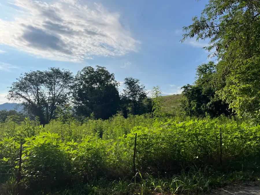 378-G Rocky Top Road, Newport, TN 37821 - Image #3