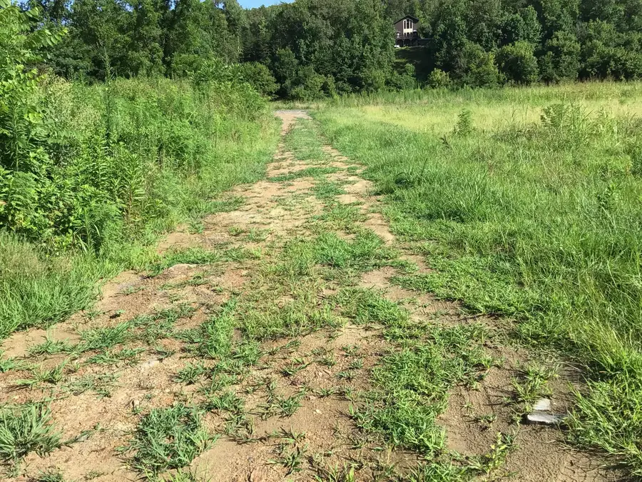 3781 River Rapids Way, Del Rio, TN 37727 - Image #2