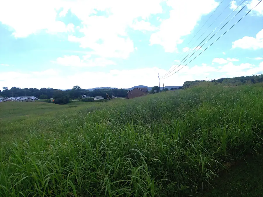 Lot 11 Pocahontas Lane, Rutledge, TN 37861 - Image #2