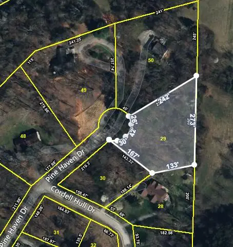 877 Pine Haven Drive, Morristown, TN 37814 - Image #3