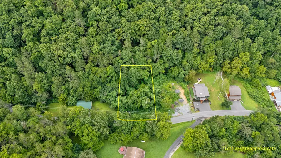 Lot 30 Catons Chapel Road, Sevierville, TN 37876 - #3