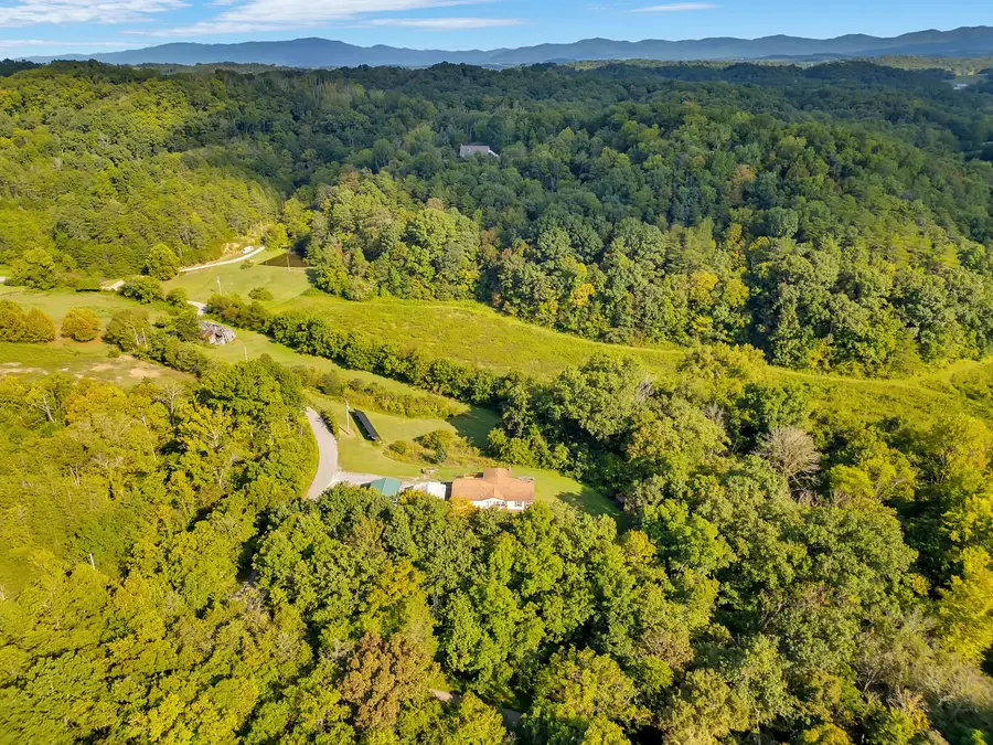 2233 Sinking Creek Road, Parrottsville, TN 37843 - Image #2