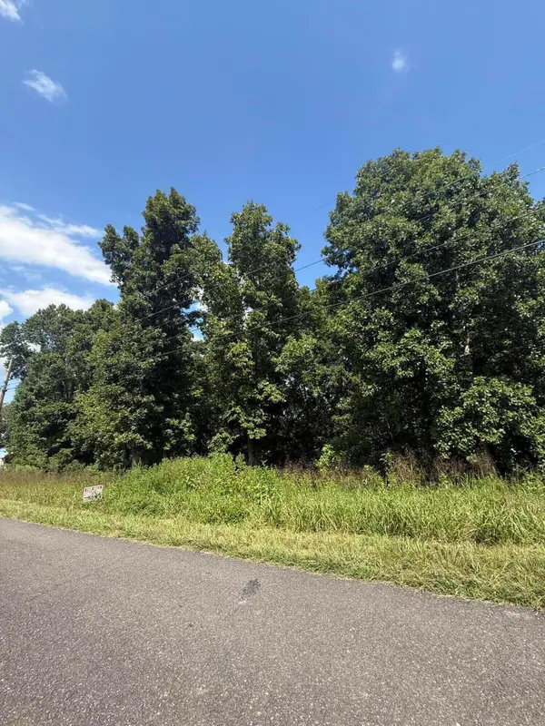 39 Idlewild Dr, White Pine, TN 37890