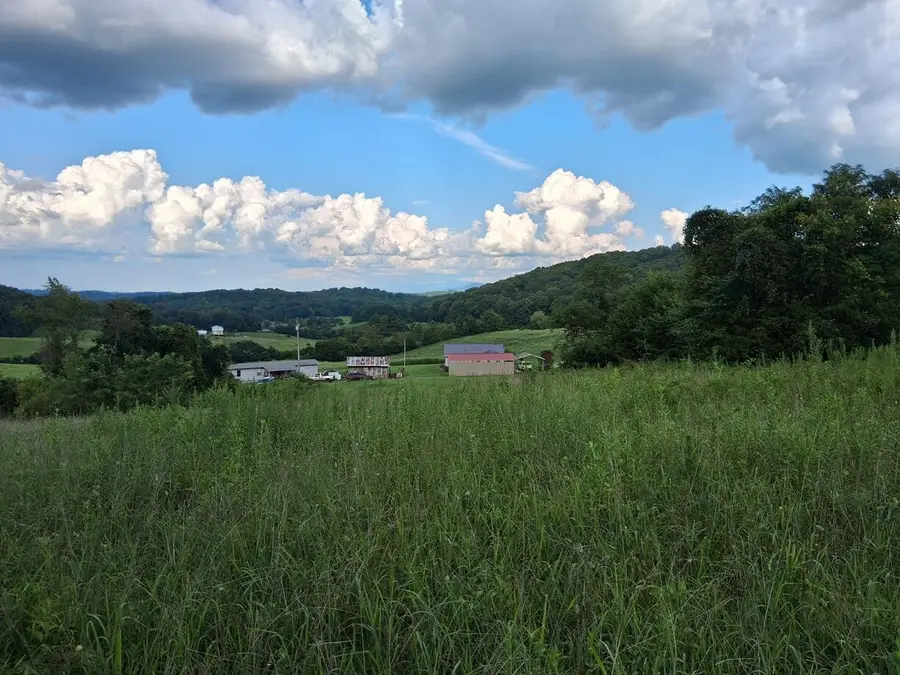 0 Irish Cut, Newport, TN 37821 - Image #2