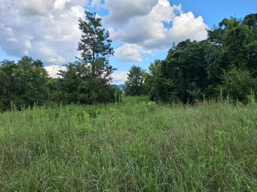 0 Irish Cut, Newport, TN 37821 - Image #3