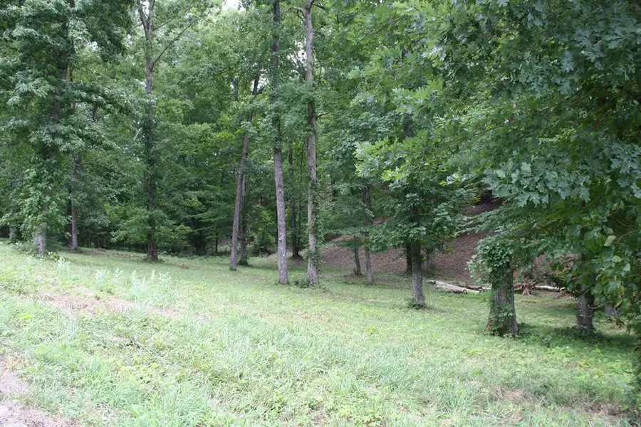 Lot 6 Cypress Drive, Dandridge, TN 37725 - Image #2