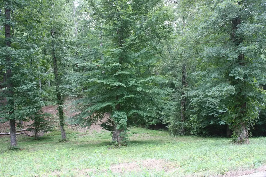Lot 6 Cypress Drive, Dandridge, TN 37725 - Image #3