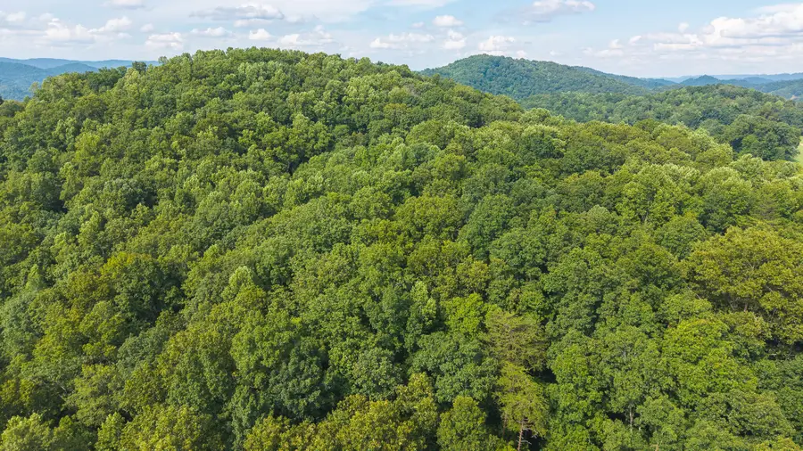 0 Gravely Valley Road, Eidson, TN 37731 - Image #2