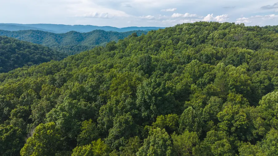 0 Gravely Valley Road, Eidson, TN 37731 - Image #3