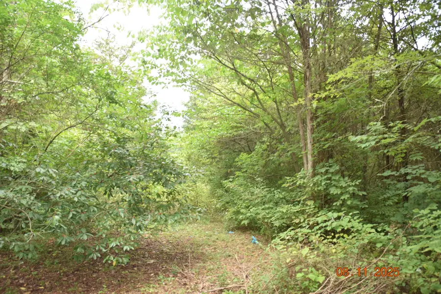 2750 Mountain Road, Whitesburg, TN 37891 - Image #3