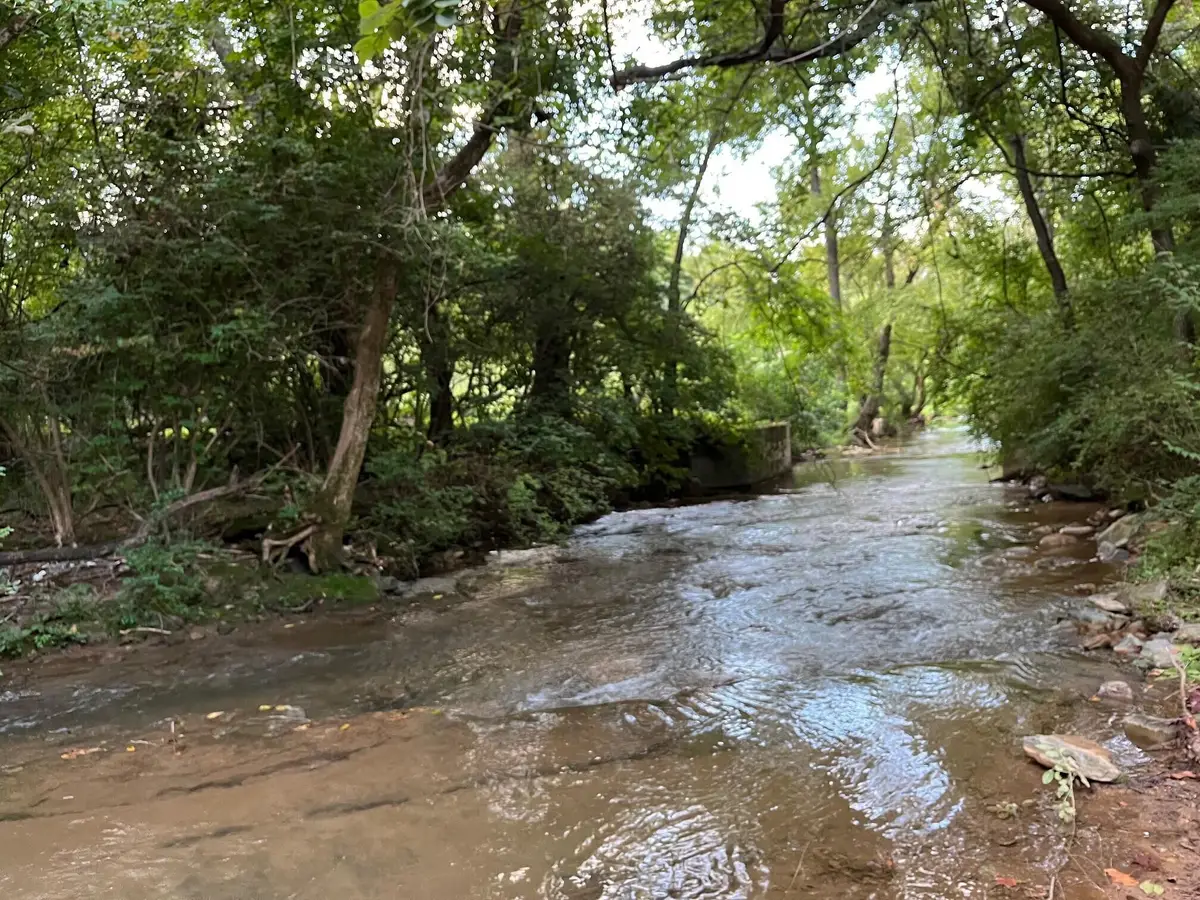 2552 Lakeview Drive, Morristown, TN 37814 - Image #1