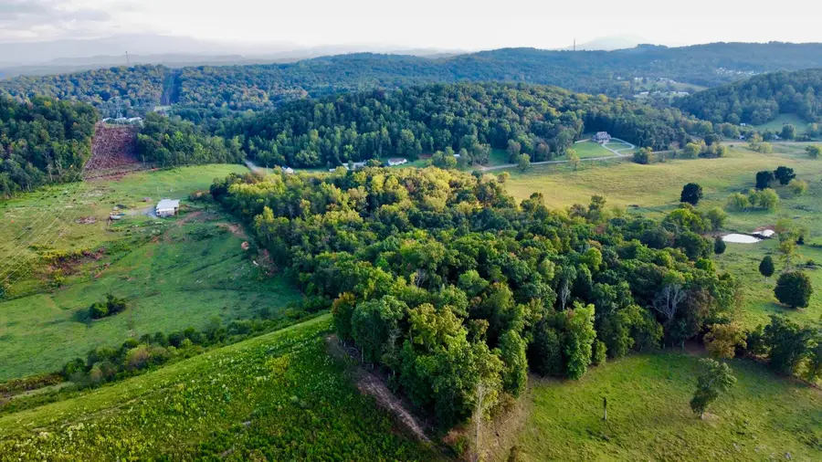 2050 Cook Mill Rd Road, New Market, TN 37820 - Image #3