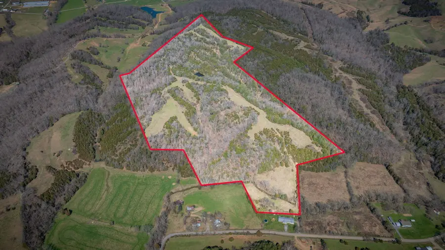 71/AC Tbd Smith Town Rd, Afton, TN 37616 - Image #2