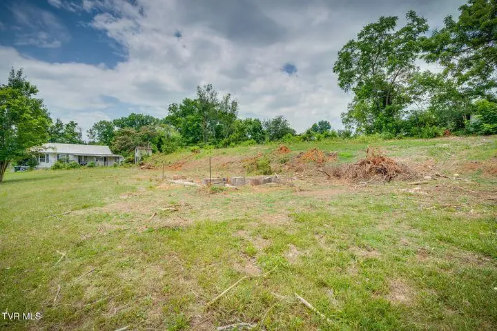 423 E Bernard Avenue, Greeneville, TN 37745 - Image #3