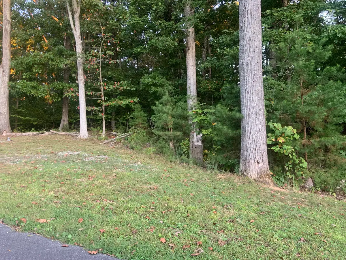 Lot 1223 Rebel Place, White Pine, TN 37890 - Image #1