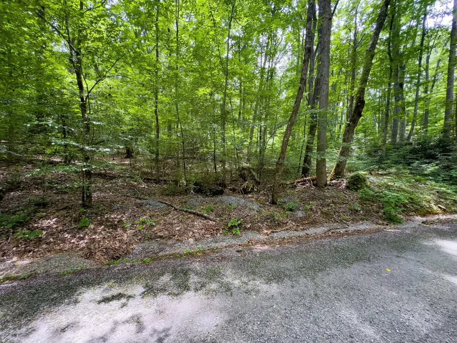 000 Hopkins Road, Cosby, TN 37722 - Image #2