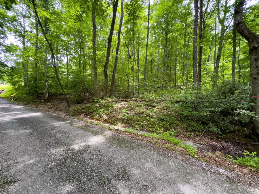 000 Hopkins Road, Cosby, TN 37722 - Image #3