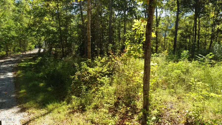 1ac Mccullough Lane, Bulls Gap, TN 37711 - Image #3
