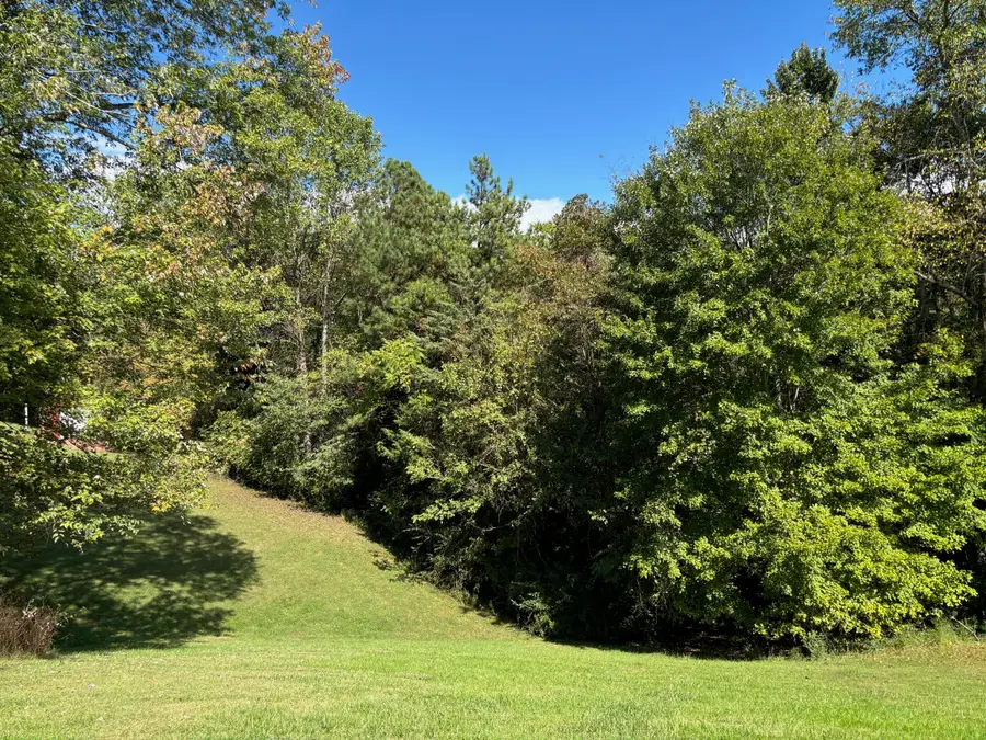 595 Ricky Drive, Talbott, TN 37877 - Image #2