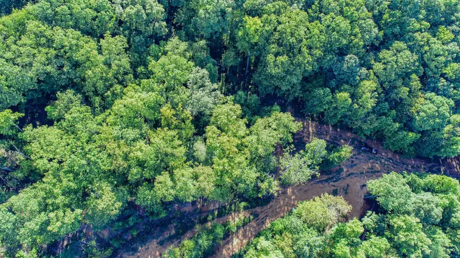 151 Delicious Way, Newport, TN 37821 - Image #2