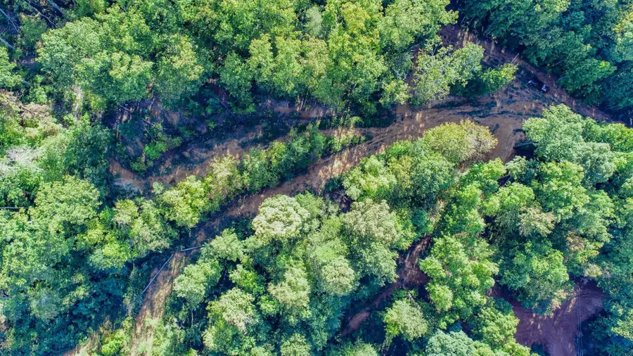 151 Delicious Way, Newport, TN 37821 - Image #3