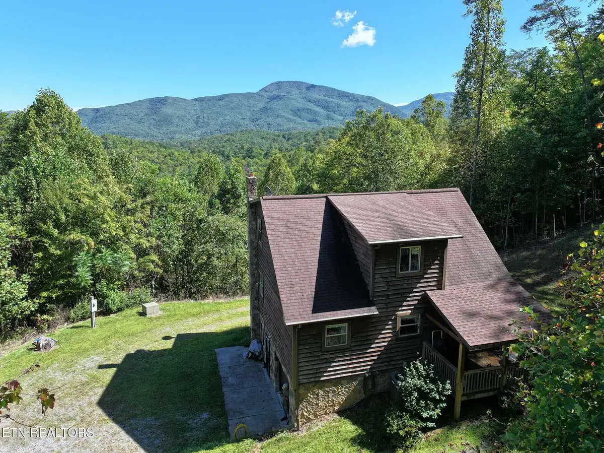 199 Pear Tree Way, Del Rio, TN 37727 - Image #1