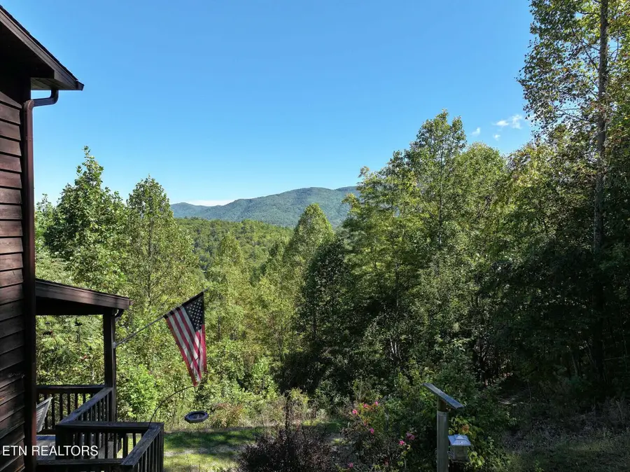 199 Pear Tree Way, Del Rio, TN 37727 - Image #2