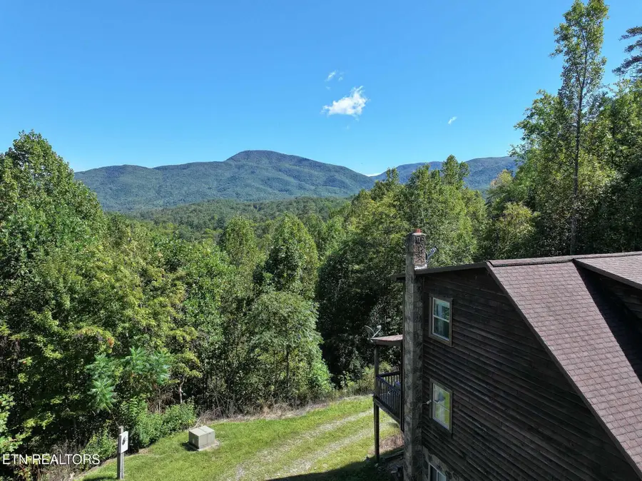 199 Pear Tree Way, Del Rio, TN 37727 - Image #3