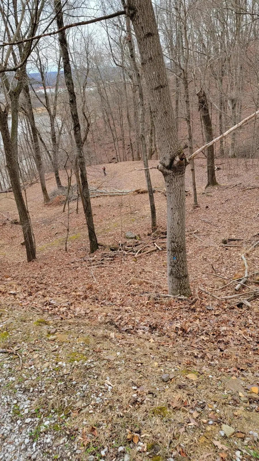 1218 Keetoowah Drive, Mooresburg, TN 37811 - Image #2