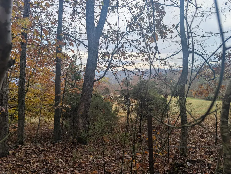 Lot # 7 Long Beard Lane, Tazewell, TN 37879 - Image #2